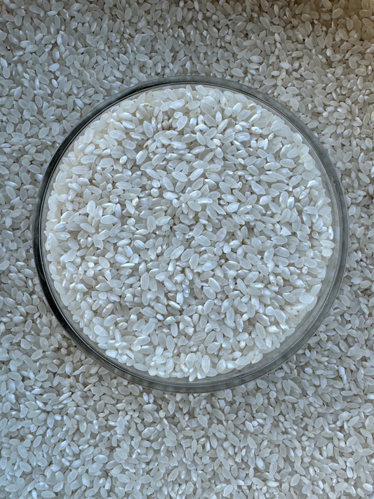 DRYLAND WHITE RICE